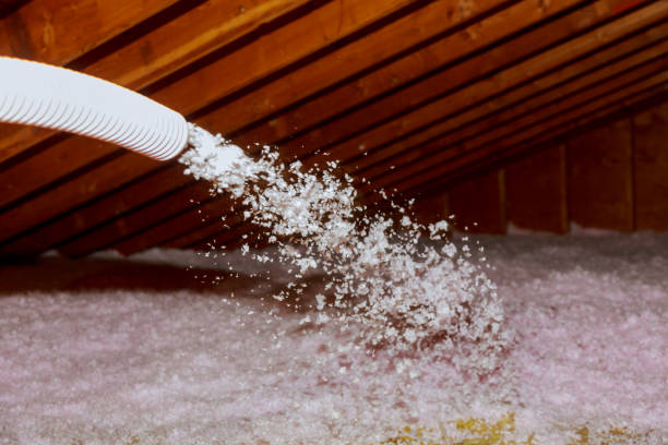 Best Professional Insulation Contractor  in Glenshaw, PA