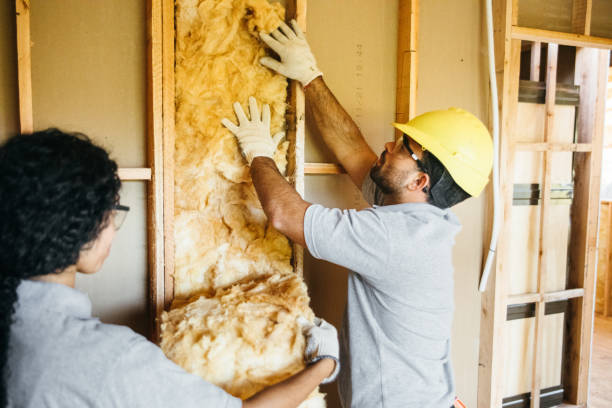 Best Cellulose Insulation  in Glenshaw, PA
