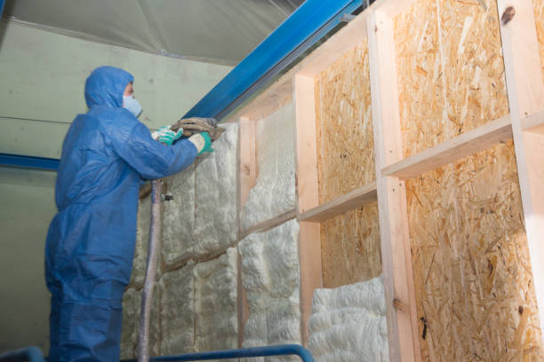 Best Insulation Removal  in Glenshaw, PA